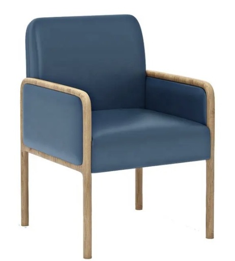 [12100271] Armchair