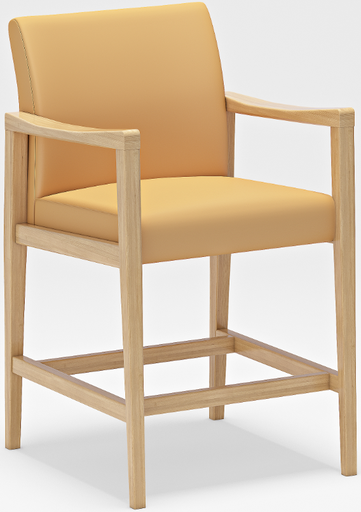 [12100272] Armchair