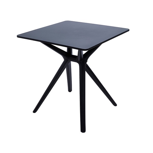 [20100070] Table