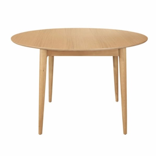 [20300001] Dining table