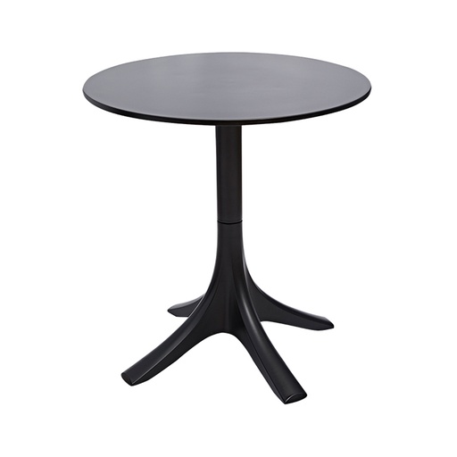 [20100071] Table